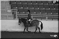 4H-State-Show-2005-1067.jpg