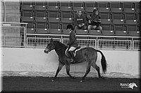 4H-State-Show-2005-1069.jpg