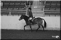 4H-State-Show-2005-1071.jpg