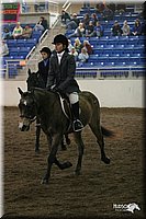 4H-State-Show-2005-1072.jpg