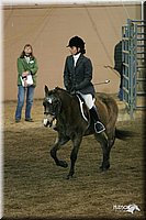 4H-State-Show-2005-1078.jpg