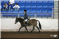 4H-State-Show-2005-1081.jpg