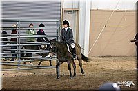 4H-State-Show-2005-1089.jpg