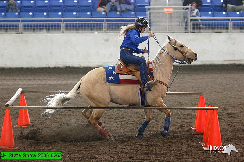 4H-State-Show-2005-0263.jpg