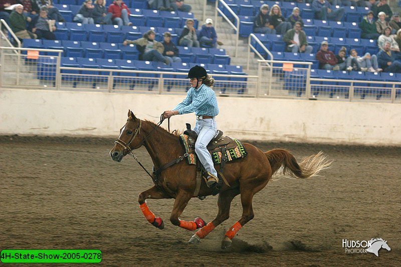 4H-State-Show-2005-0278.jpg