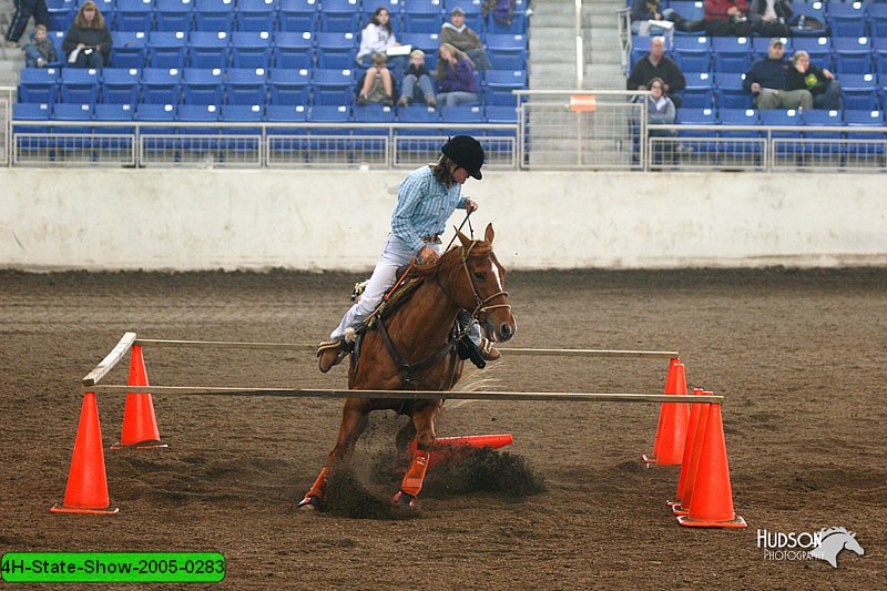 4H-State-Show-2005-0283.jpg