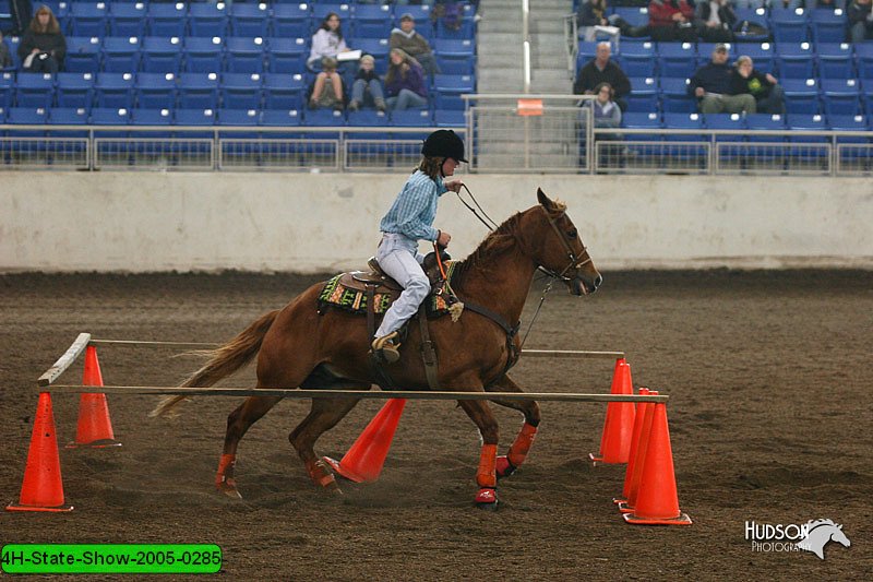 4H-State-Show-2005-0285.jpg