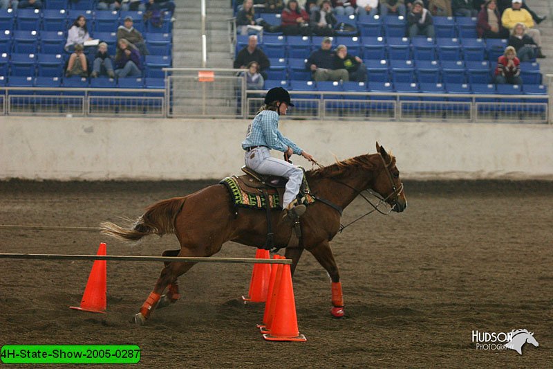 4H-State-Show-2005-0287.jpg