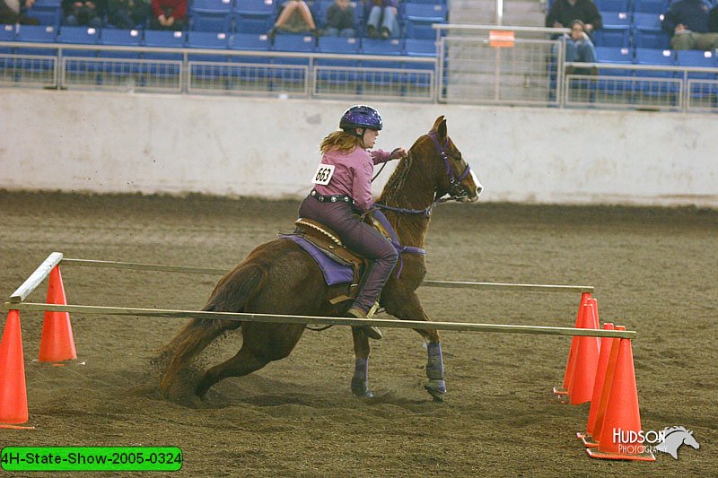 4H-State-Show-2005-0324.jpg