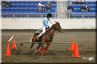 4H-State-Show-2005-0284.jpg