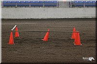 4H-State-Show-2005-0296.jpg