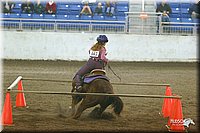 4H-State-Show-2005-0322.jpg