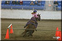 4H-State-Show-2005-0323.jpg