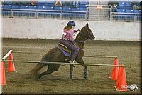 4H-State-Show-2005-0324.jpg