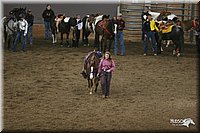 4H-State-Show-2005-0332.jpg