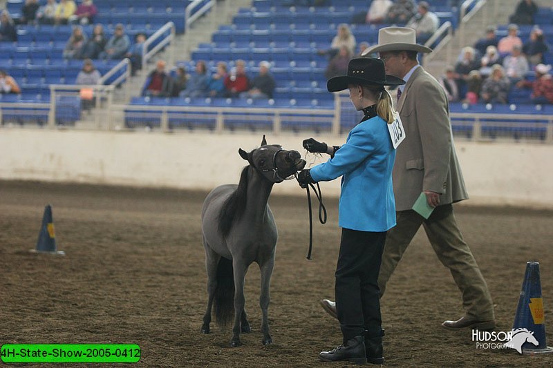 4H-State-Show-2005-0412.jpg