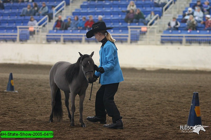 4H-State-Show-2005-0419.jpg