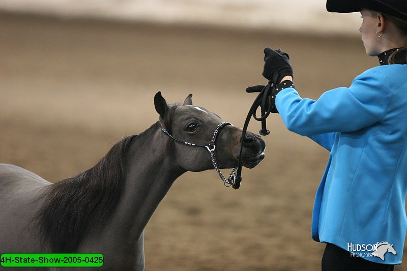 4H-State-Show-2005-0425.jpg