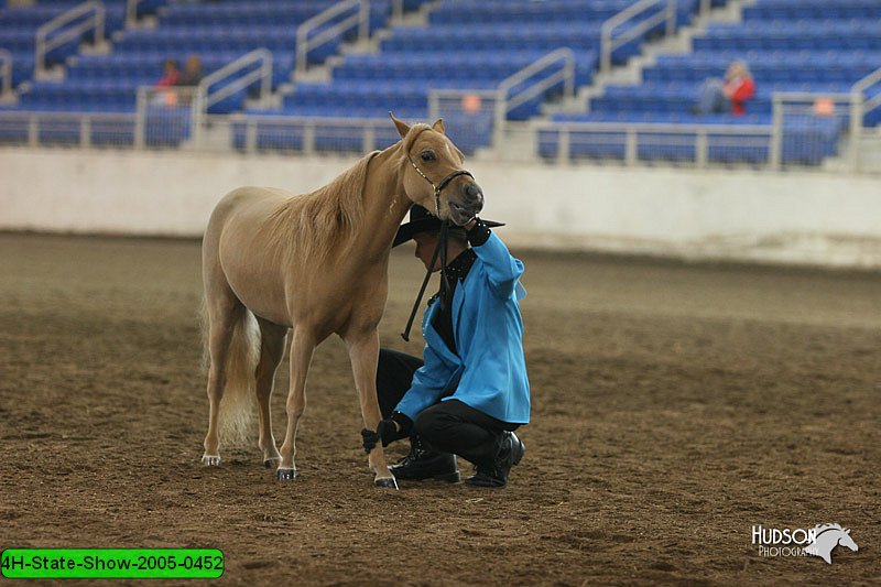 4H-State-Show-2005-0452.jpg