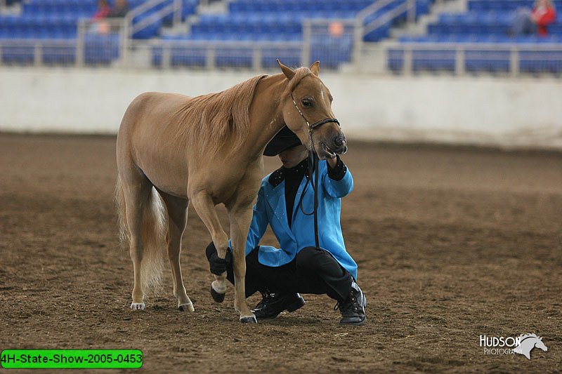 4H-State-Show-2005-0453.jpg