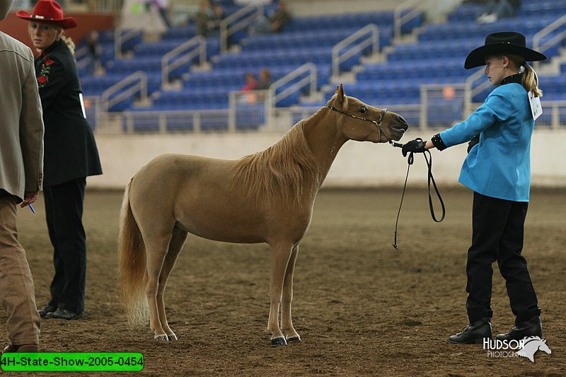 4H-State-Show-2005-0454.jpg