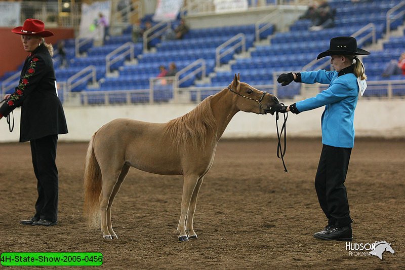 4H-State-Show-2005-0456.jpg