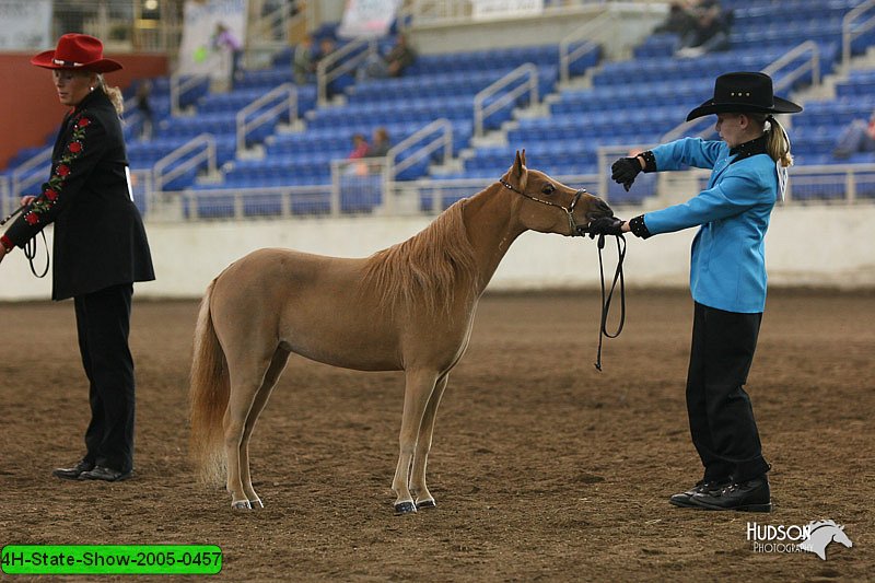 4H-State-Show-2005-0457.jpg