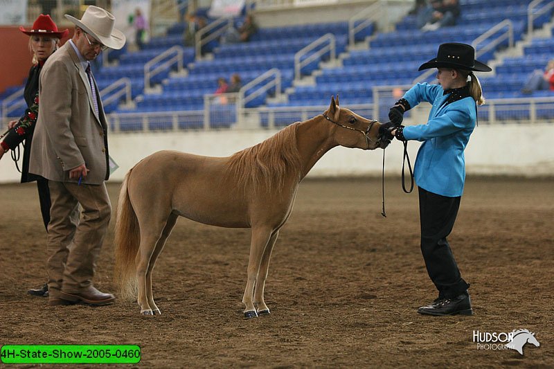 4H-State-Show-2005-0460.jpg