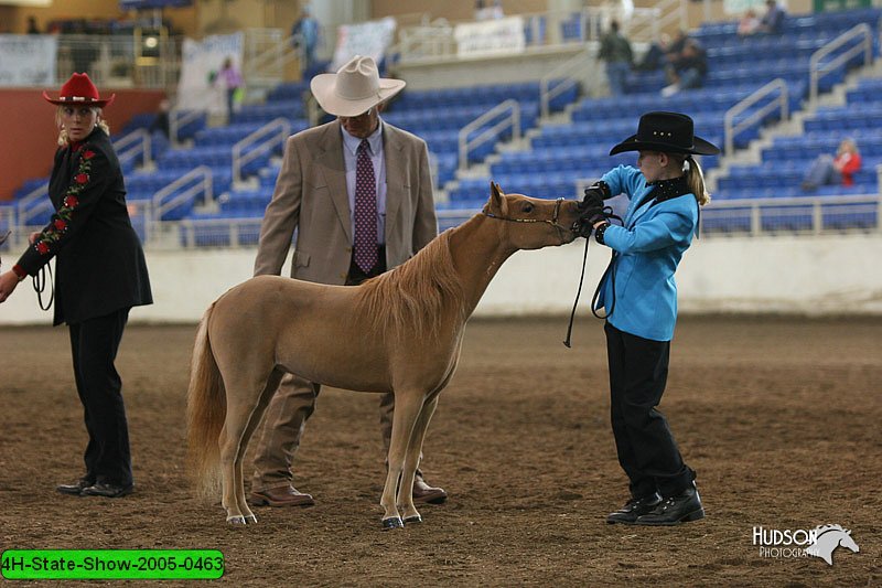 4H-State-Show-2005-0463.jpg