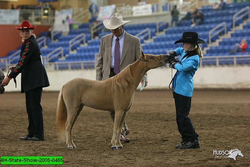 4H-State-Show-2005-0465.jpg