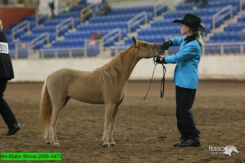 4H-State-Show-2005-0472.jpg