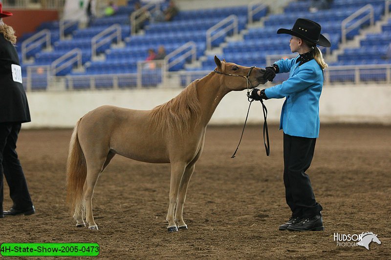 4H-State-Show-2005-0473.jpg