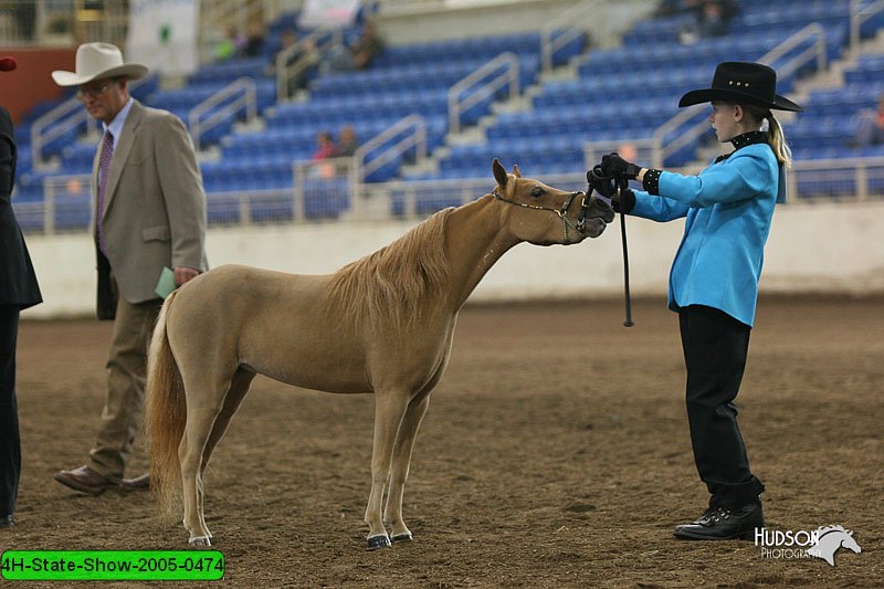 4H-State-Show-2005-0474.jpg