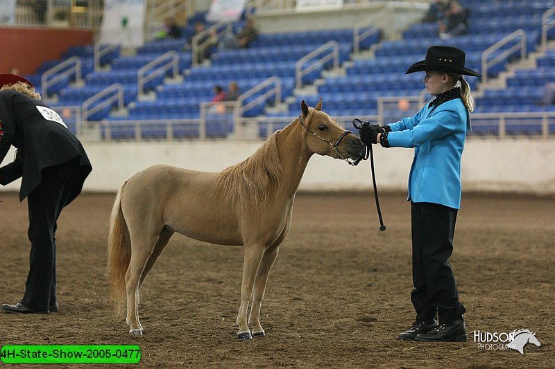 4H-State-Show-2005-0477.jpg