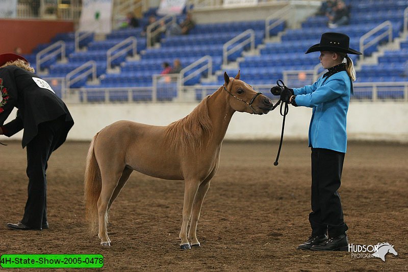 4H-State-Show-2005-0478.jpg