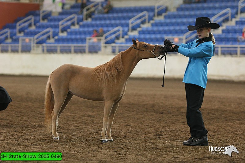 4H-State-Show-2005-0480.jpg