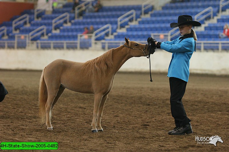 4H-State-Show-2005-0482.jpg