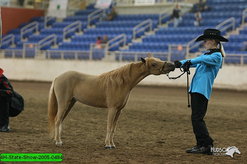 4H-State-Show-2005-0484.jpg