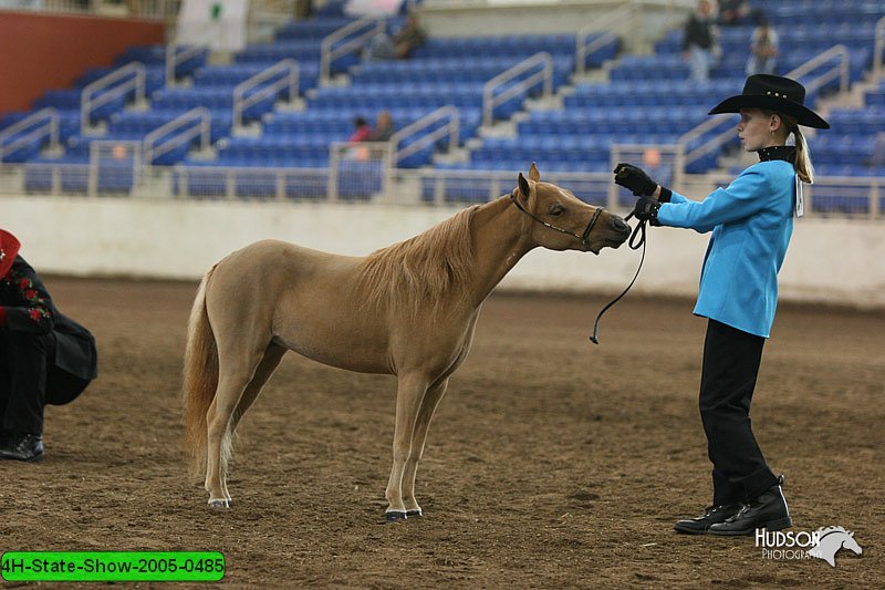 4H-State-Show-2005-0485.jpg