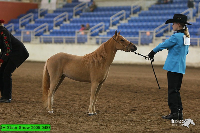 4H-State-Show-2005-0488.jpg