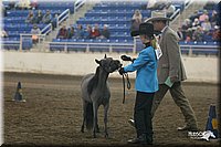 4H-State-Show-2005-0412.jpg