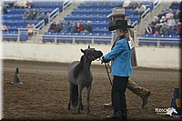 4H-State-Show-2005-0413.jpg