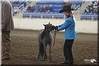 4H-State-Show-2005-0415.jpg