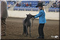 4H-State-Show-2005-0416.jpg