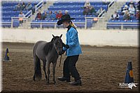 4H-State-Show-2005-0419.jpg