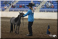 4H-State-Show-2005-0420.jpg