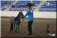 4H-State-Show-2005-0421.jpg