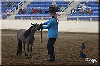 4H-State-Show-2005-0422.jpg