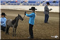 4H-State-Show-2005-0424.jpg