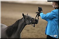 4H-State-Show-2005-0425.jpg